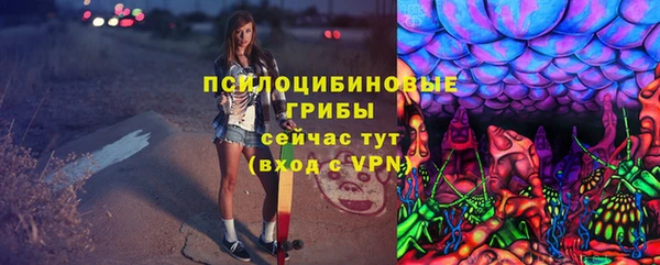 PSILOCYBIN Арсеньев