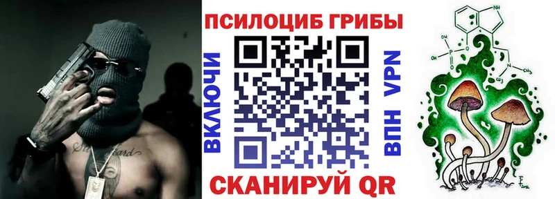 Псилоцибиновые грибы прущие грибы  Белокуриха 